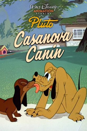 Canine Casanova