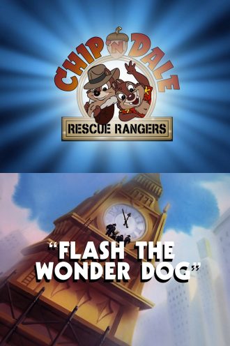 Flash, the Wonder Dog