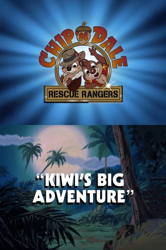 Kiwi’s Big Adventure